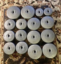Set of 180+ pounds of Orbatron standard weight plates