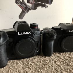 Lumix G9 / Zhiyun Weebill S