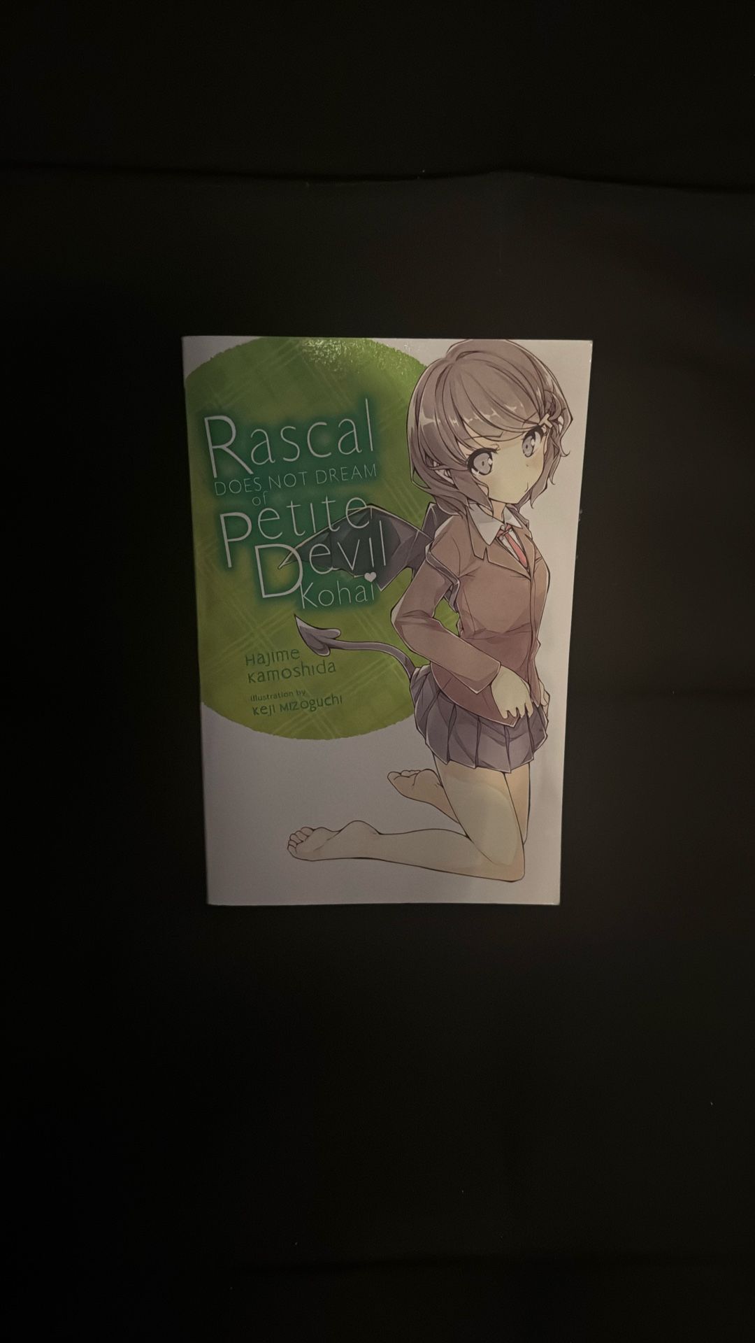 Rascal Does Not Dream Of A Petite Devil Kohai