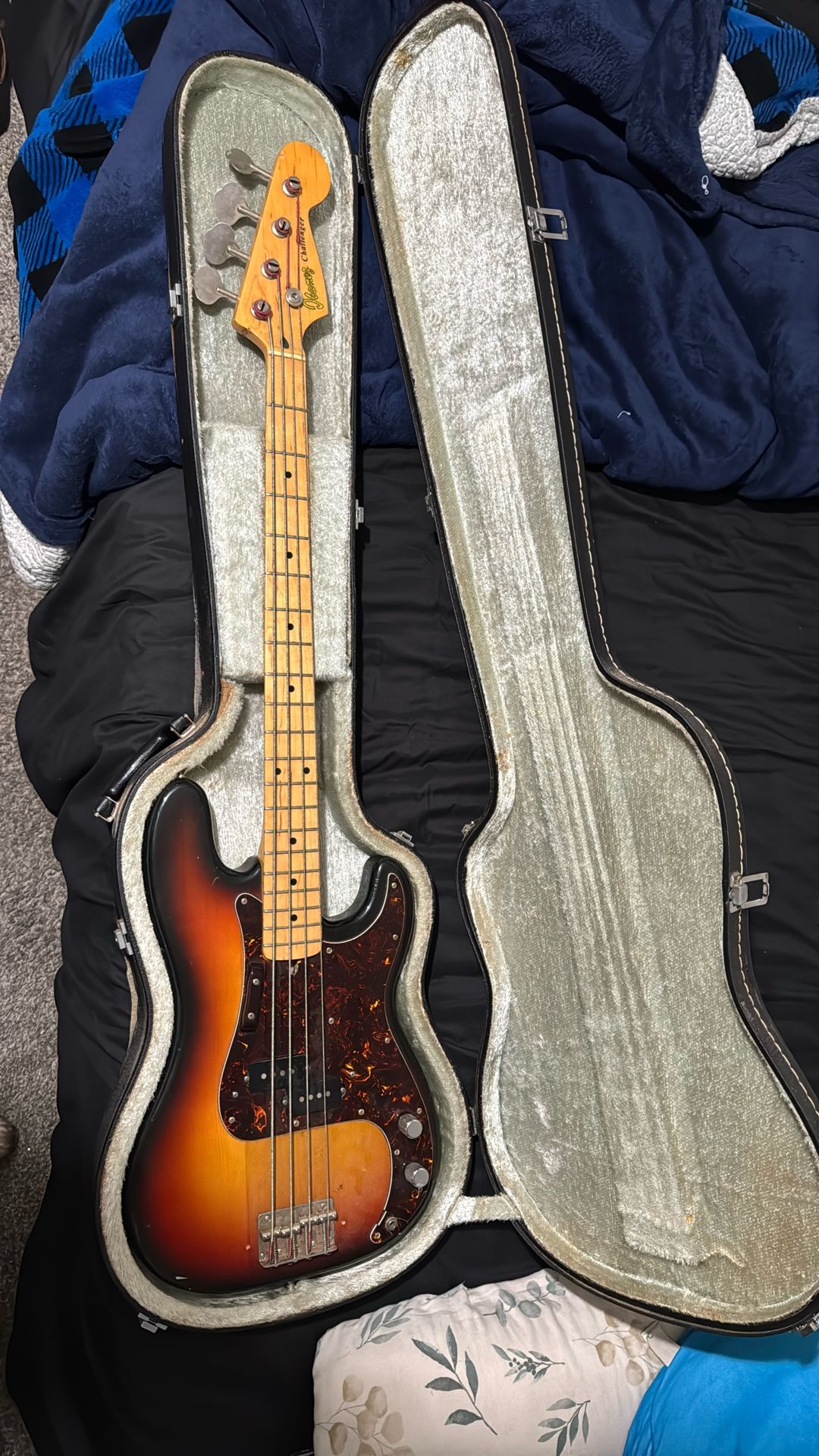 Bass Guitar 