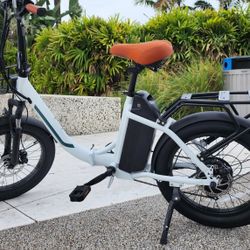  "Price Firm" Brand New Electric Bicycle 