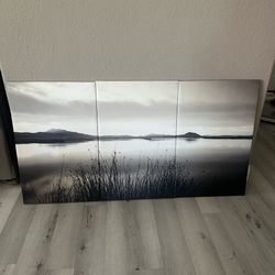3 Piece Canvas Wall Art 57x30