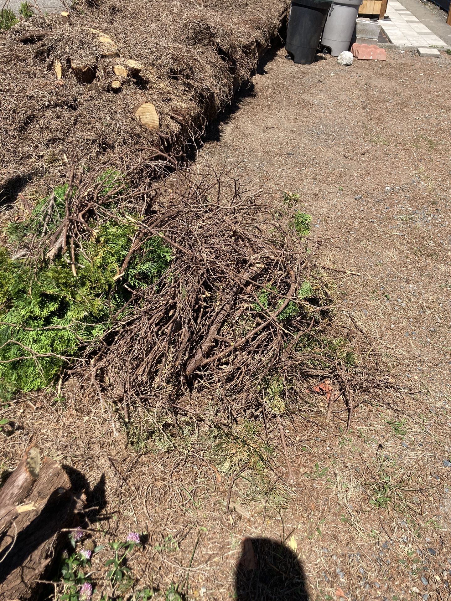 Free Firewood And Kindling