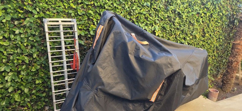 Rawrr Mantis X Emoto