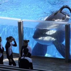 Seaworld Tickets And FASTPASS 