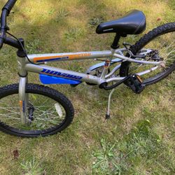 Boys Bike Twenty Inch