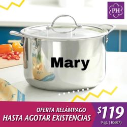 Olla De 9 Qt. Princess House