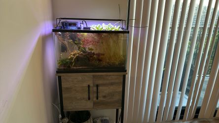 Fish Tank 10G