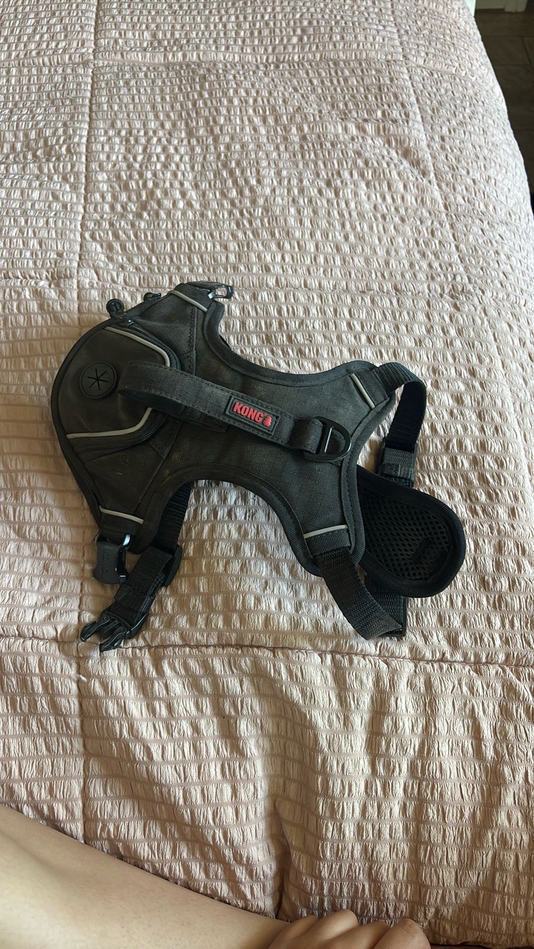 Dog Harness