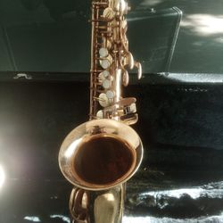 Alto saxophone 
