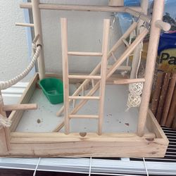 New Bird Playground! 