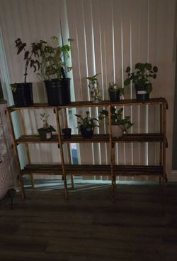 Plant stand
