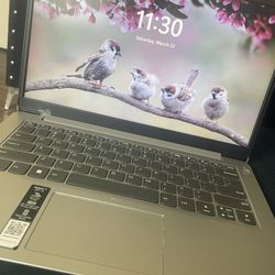 Lenovo IdeaPad 1 14IGL7 14" Laptop Pentium Silver N5030 4GB Ram 128 GB eMMC W11H in S Mode