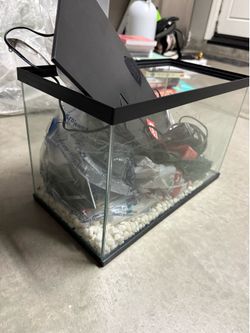 Fish Tank and Decorations