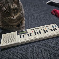 Casio VL-1 VL-Tone