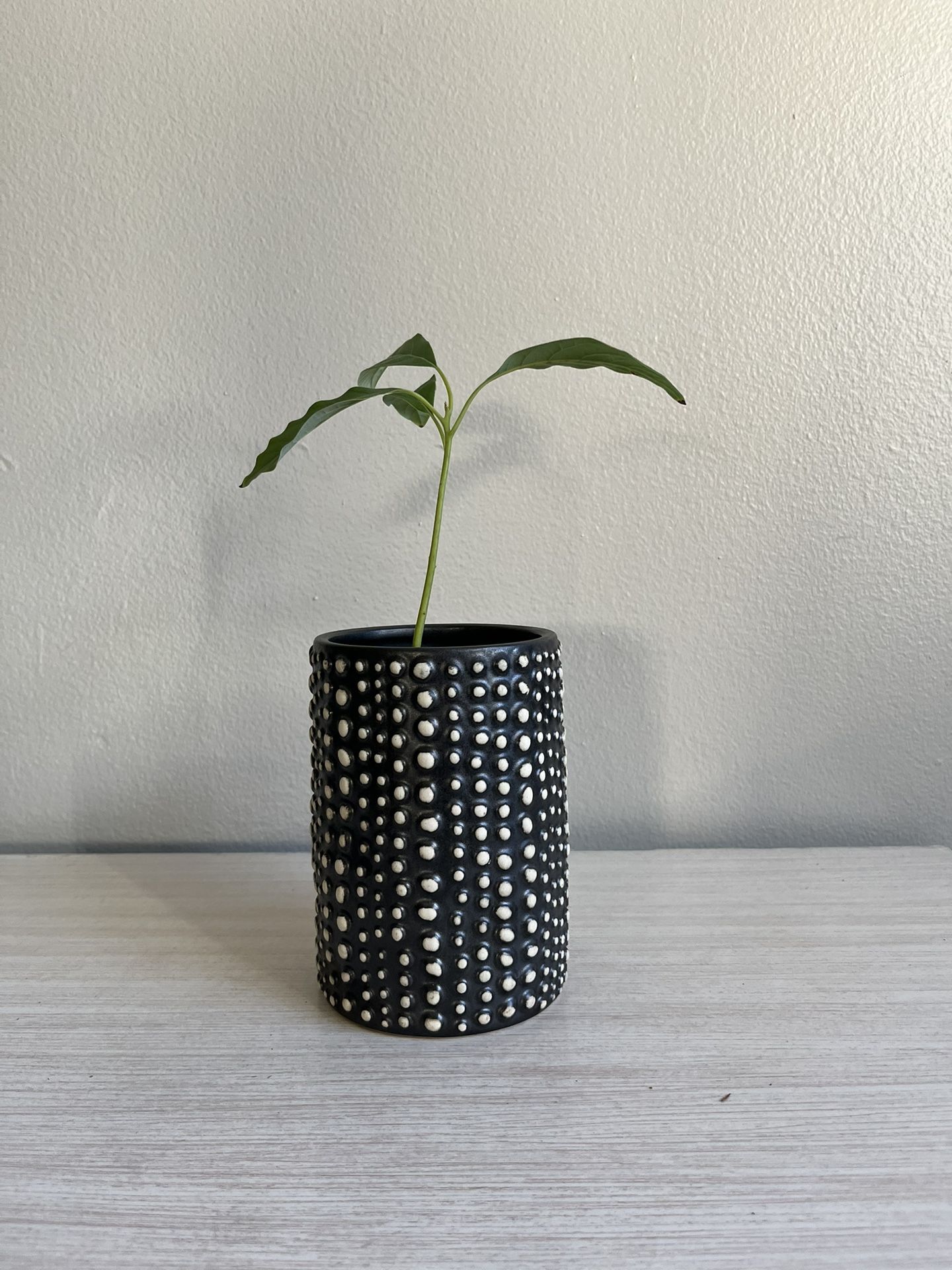 Ceramic Textured Pot/Vase