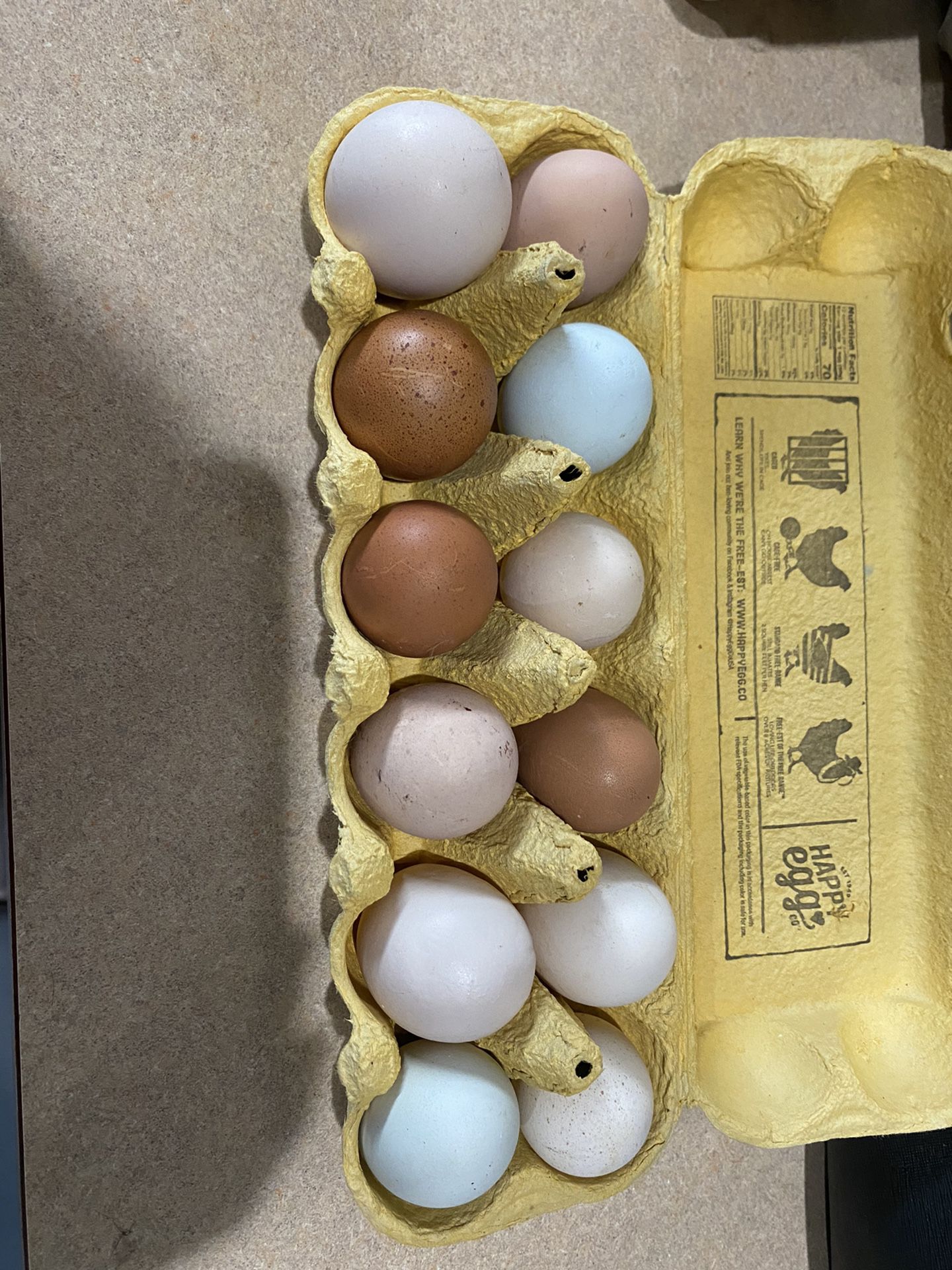 Fresh organic chicken eggs for hatching.