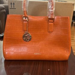 Brand new Paris Bag.