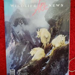 Wildlife Artist News Magazines - Lot