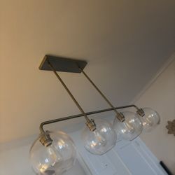 Ceiling Fixture  West Elm 