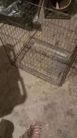 Kennel