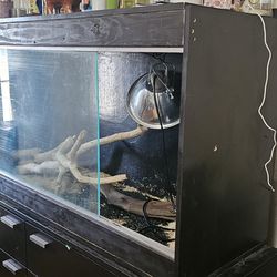 Reptile enclosure