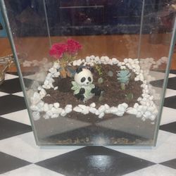 Terrarium Glass Garden