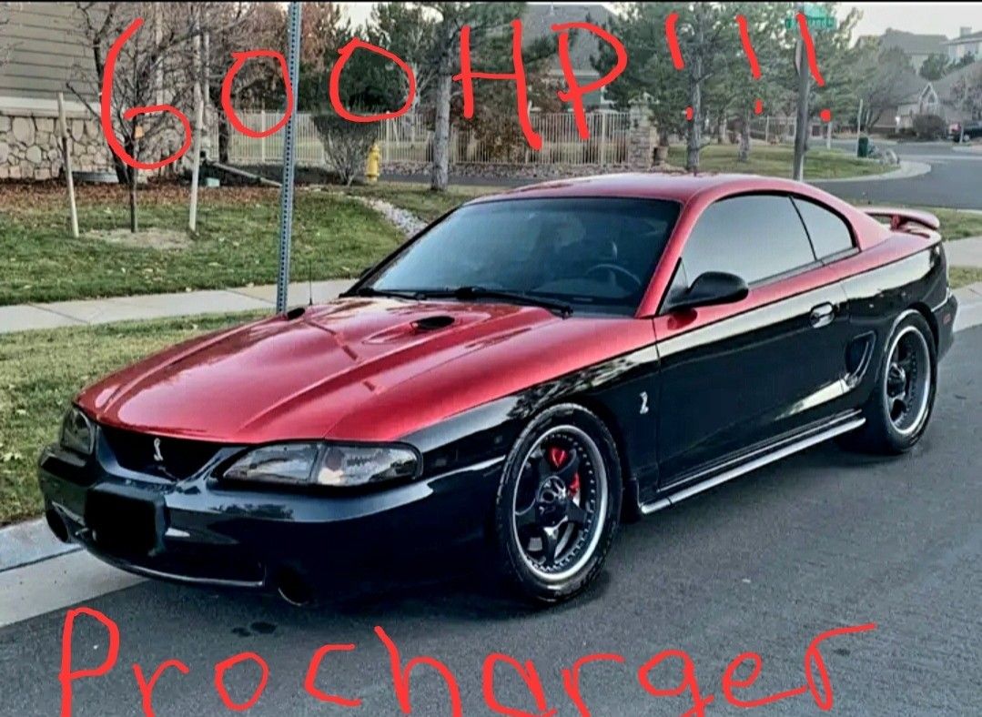 1996 Ford Mustang SVT Cobra