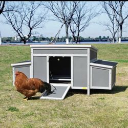 59″L Outdoor Wooden Chicken Coop With 2 Nesting Boxes, For 4 Chickens, Dark Gray