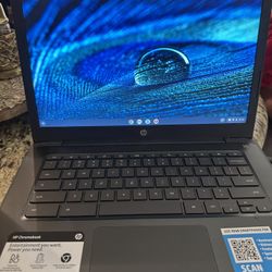 hp chromebook 