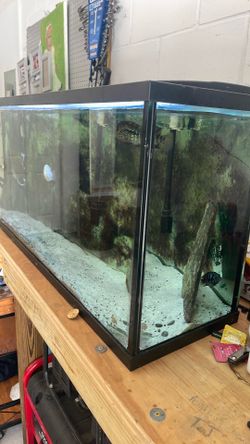 Fishy tank and filter