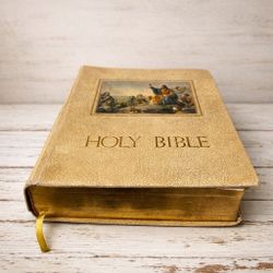 Vintage DeVore & Sons Family Bible KJV Red Letter Illustrated Gilt Pages 