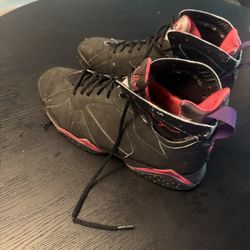 Jordan 7 Raptors