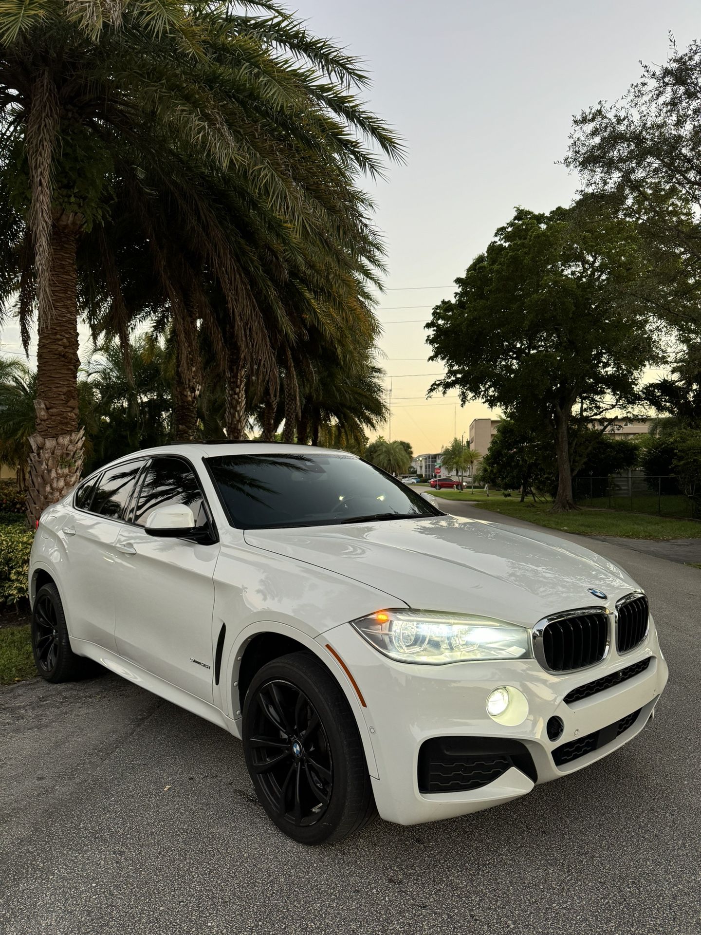 2020 BMW X6