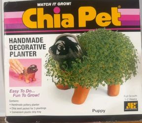 Chia Pet Puppy Decorative Planter Kit Pottery Novelty 35