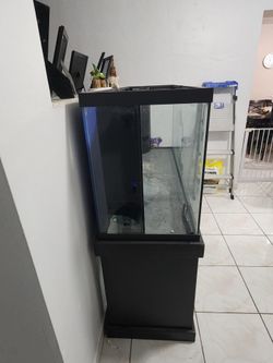 Fish Tank