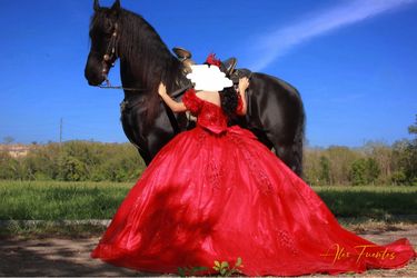 Quinceanera dress