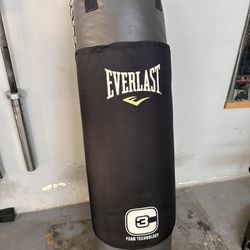 Everlast Punching Bag, Boxing Or MMA