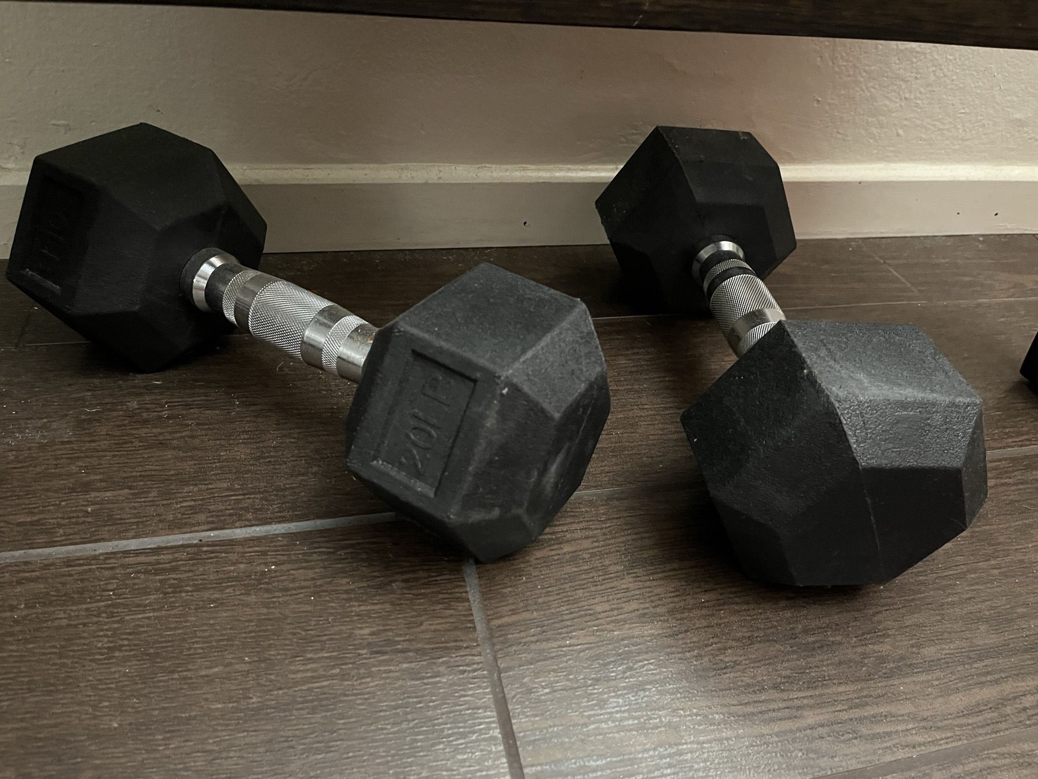 20 Lbs Dumbbells Weights