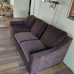 Free Pull Out Couch