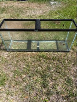 55 gallon tank