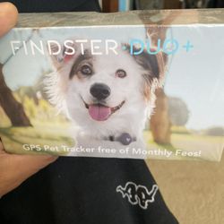 Dog Wearable Device 