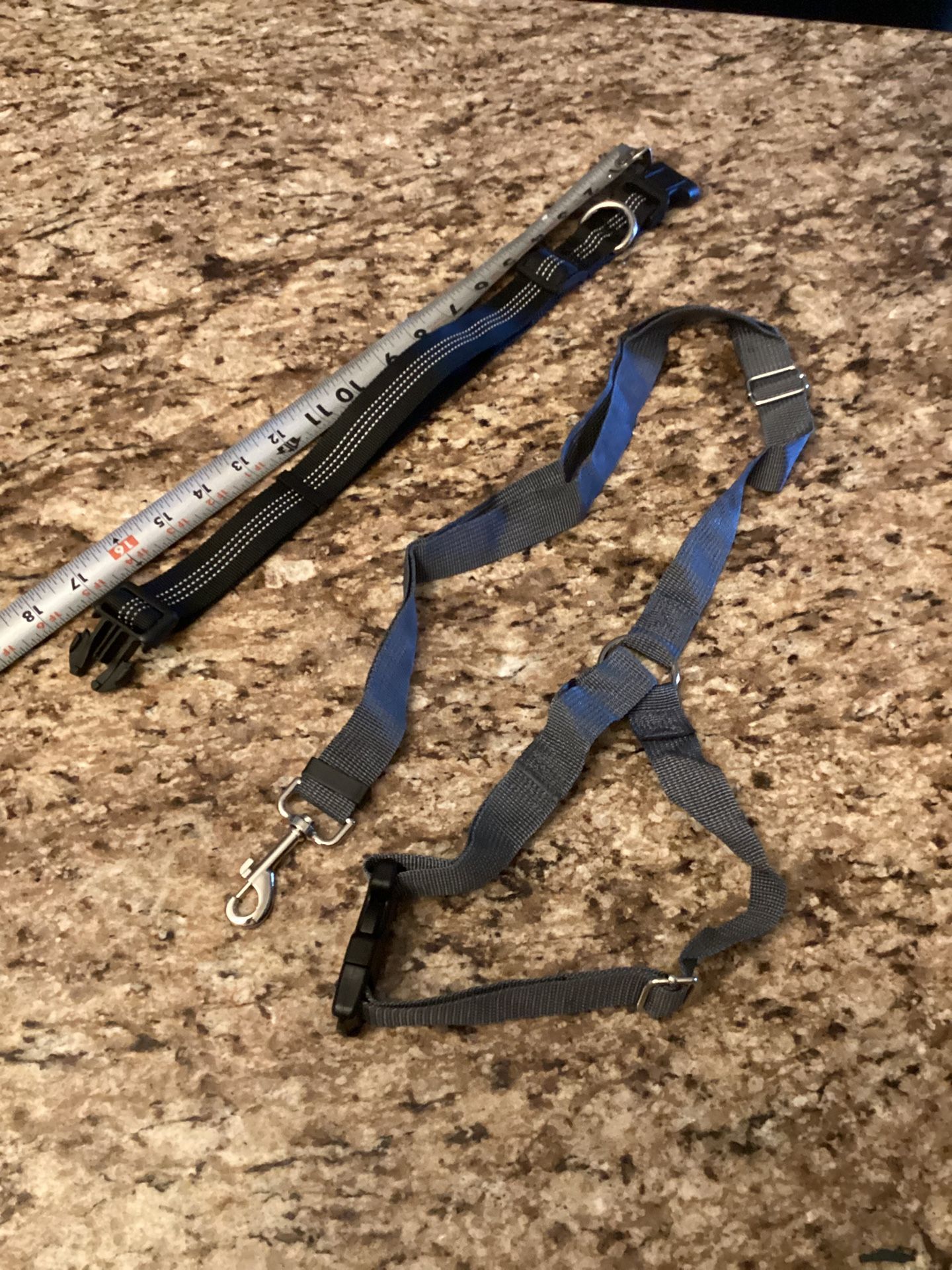 Brand New Dog Collar, And Leash