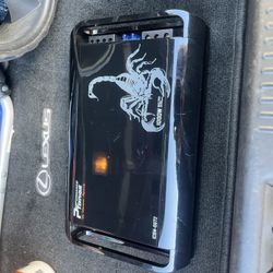 Subwoofer And Amplifier 