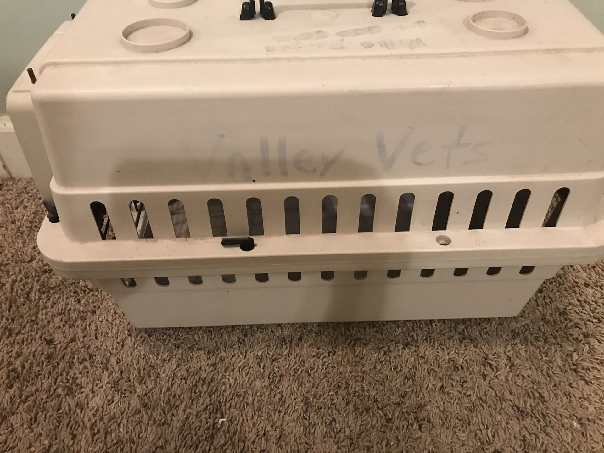 For cat or dog
