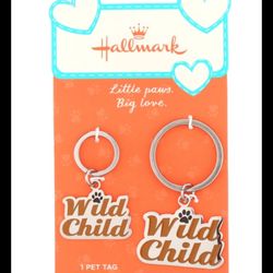 Stainless Steel Pet Wild Child Keychain And Tag Set Connections From Hallmark 