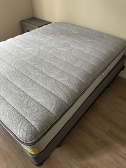 Queen Mattress/ Box spring