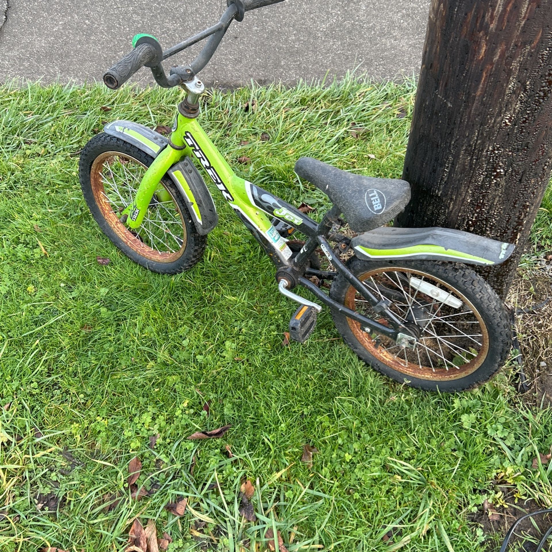 Trek Kids Bicycle