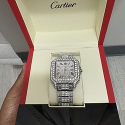 Budget Carter Moissanite Watch 