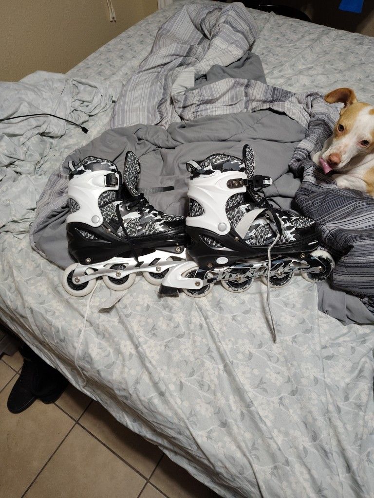Men's Roller Baldes